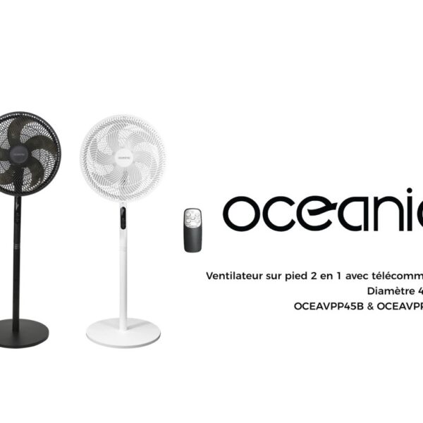 lot de 2 Ventilateurs sur pied – Puissant, silencieux et réglable